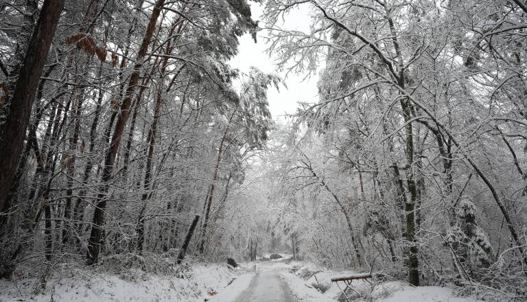 Po sončnem začetku dneva prihajajo padavine, možne so nevihte, meja sneženja se bo spuščala