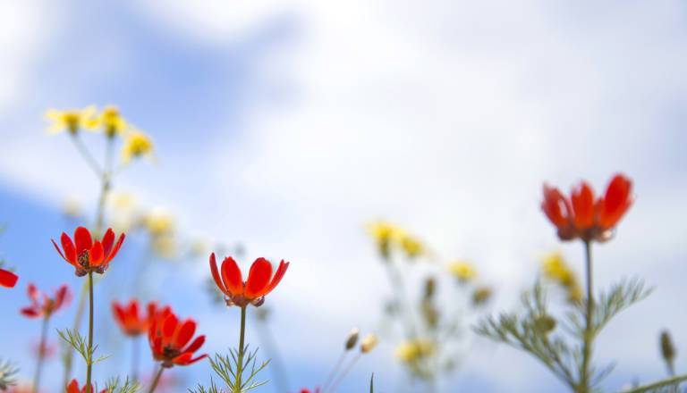 Prihaja trenutek resnice za ta astrološka znamenja, ena poteza lahko spremeni vse
