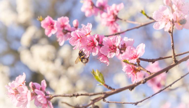 Za ta znamenja prihaja obdobje poguma, a tudi nevarnih odločitev
