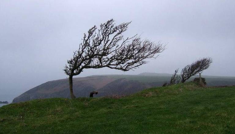 Prihaja močna burja, sunki lahko presežejo sto kilometrov na uro