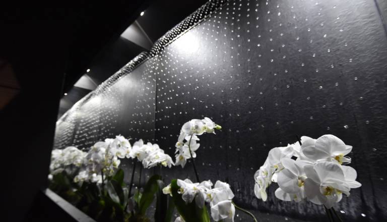 FOTO: V Ljubljani predstavili iluzijo, kjer voda teče navzgor