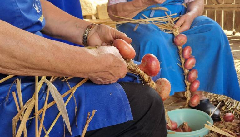 Za promocijo ptujskega lüka 434.000 evrov evropskih sredstev