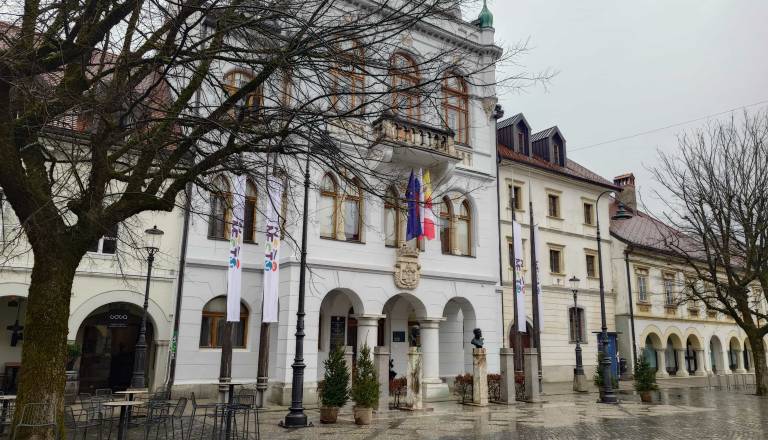 Nov poskus oživitve centra Novega mesta. Iščejo mestnega menedžerja, izkušnje niso nujne