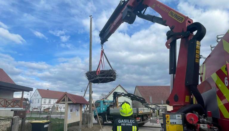 Gasilci pomagali štorkljam, postavili novo gnezdo