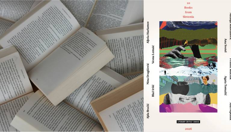 Goga ima kar dva romana v mednarodnem zborniku, ki predstavlja Slovenijo