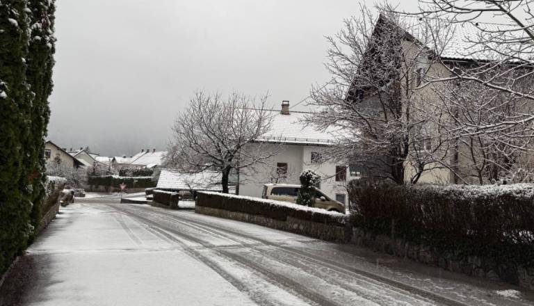 Snežni preobrat tik pred pomladjo, pobelilo tudi Ribnico in Kočevje