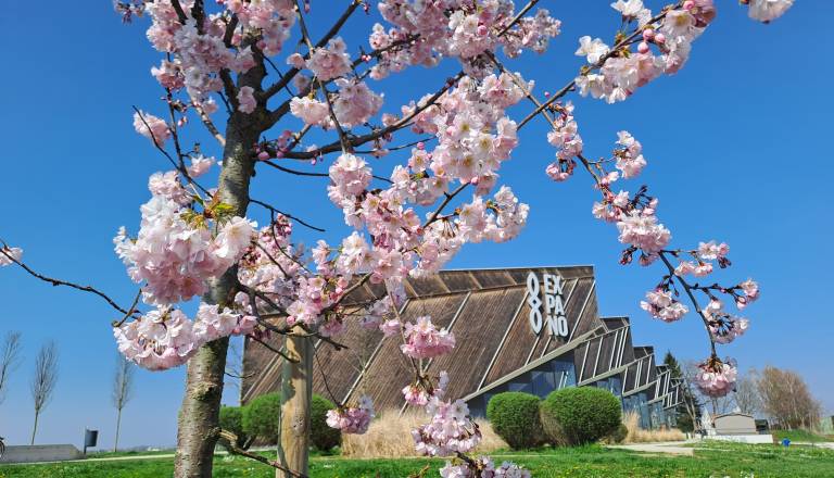 Spomladansko enakonočje, začetek daljših dni