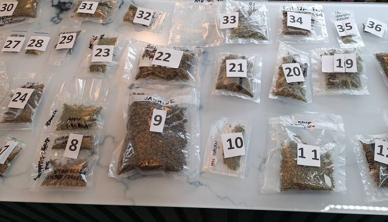 Ljubljanski trgovec prodajal bonbone z drogo? Policija zasegla več kot 30 kilogramov