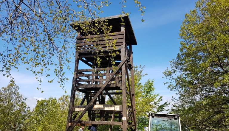 Slabo stanje na Debnem vrhu. Bo razgledni stolp nad Zalogom izginil?