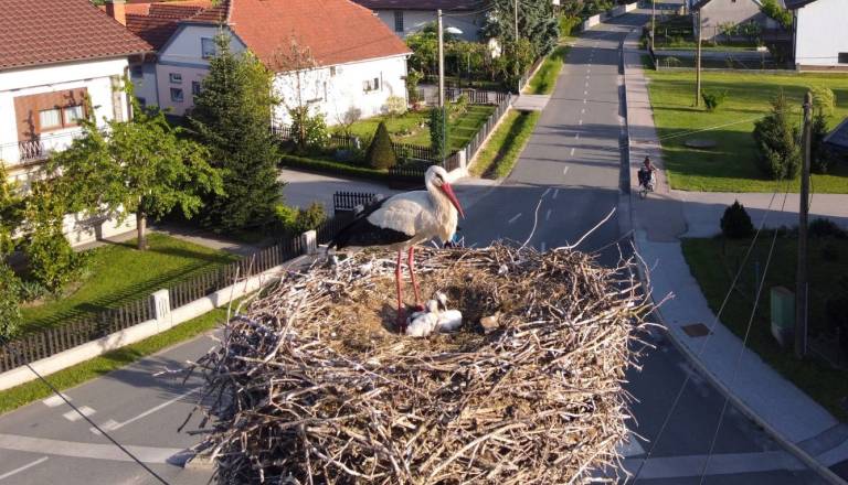 Kdo je najbližje izvolitvi v lendavskem volilnem okraju?