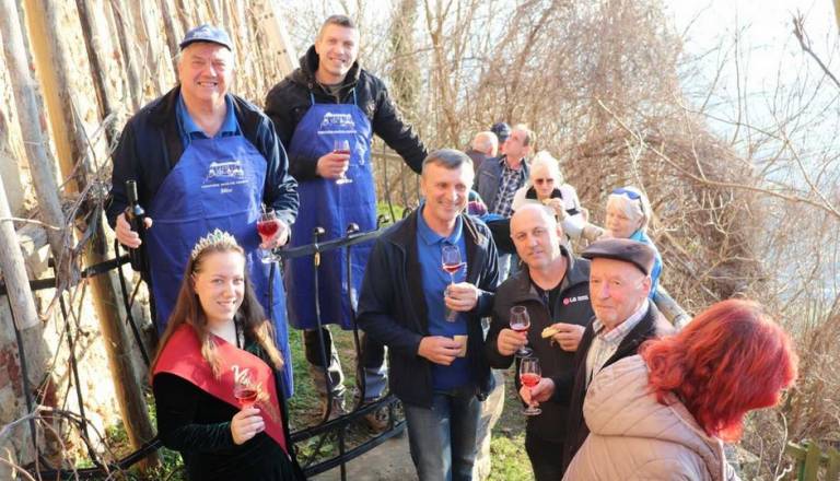 Na Vurberku znova zazvenele škarje, 21. rez potomke najstarejše trte