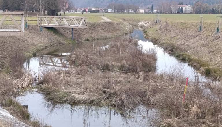 Mariborčan ogorčen nad prenovo Pekrskega potoka: Kanal ob otokih presahne, stoječa voda pa postaja gojišče komarjev