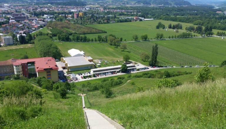 Pozor! Na Kalvariji bodo brnele motorne žage, delovišču se ne približujte