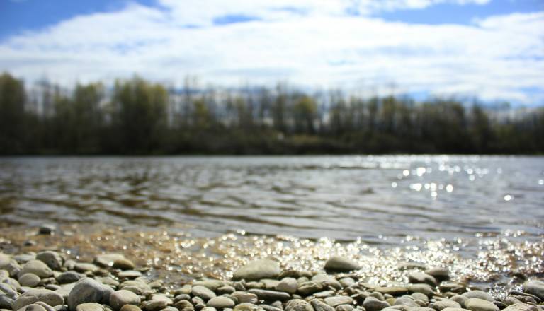 Šok ob Muri: Policisti iz vode potegnili truplo ženske, potrjeno, da gre za pogrešano