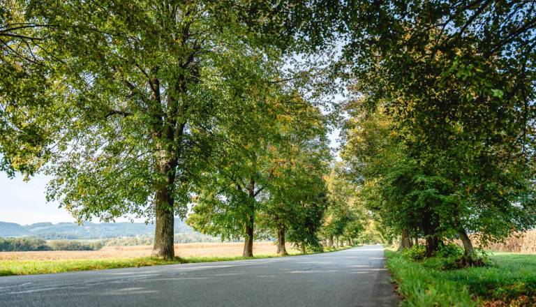 Hoška občina toži državo, zaradi neuspelega projekta v Pivoli ostali brez 350 tisočakov