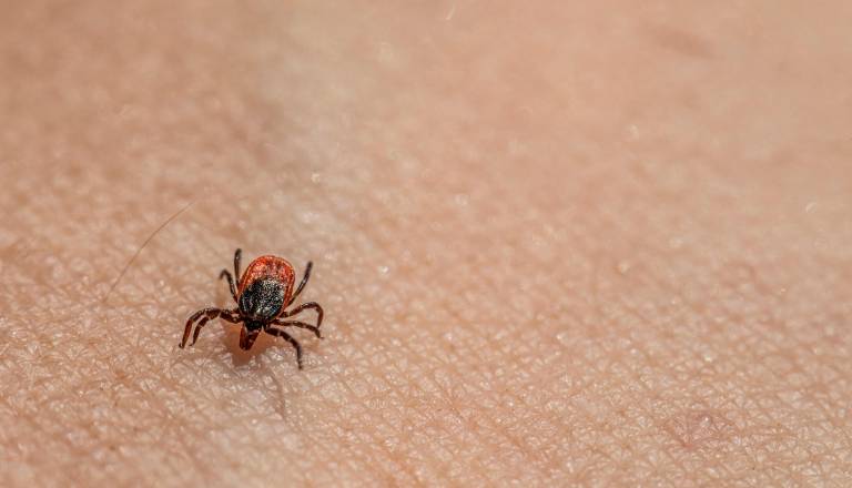 To je skrita nevarnost v naravi, ki jo mnogi podcenjujejo