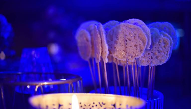 FOTO in VIDEO: Prvi utrinki iz štaba Gibanja Svoboda, ujeli smo tudi kulinarično ponudbo