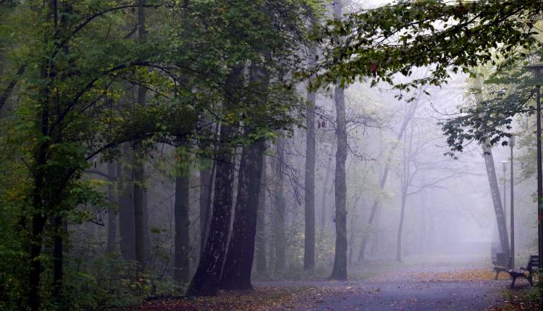 Preklic iskanja, pogrešanega našli mrtvega 