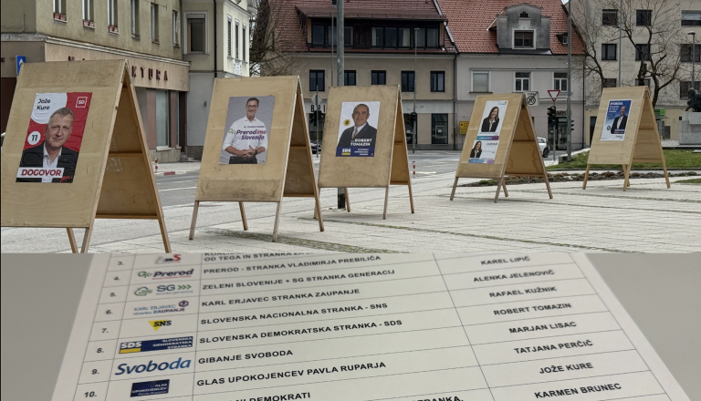 Največja slovenska občina brez poslanca: kaj se je zgodilo s Kočevjem?