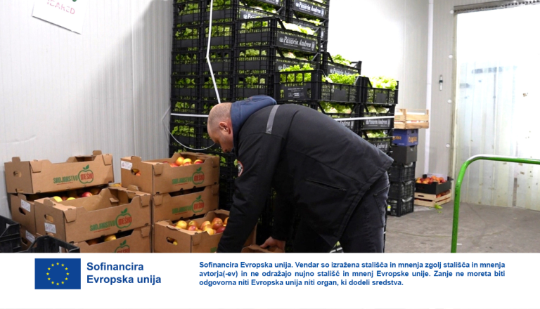 VIDEO: Od sadovnjaka do šolskega krožnika: Jabolka so pomemben del lokalne prehrane skozi leto