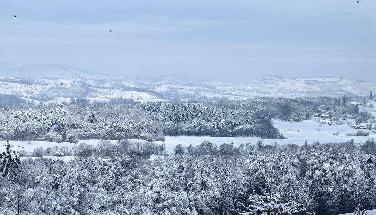 Dežurni meteorolog svari: Sneg do nižin, močan veter in težave v prometu