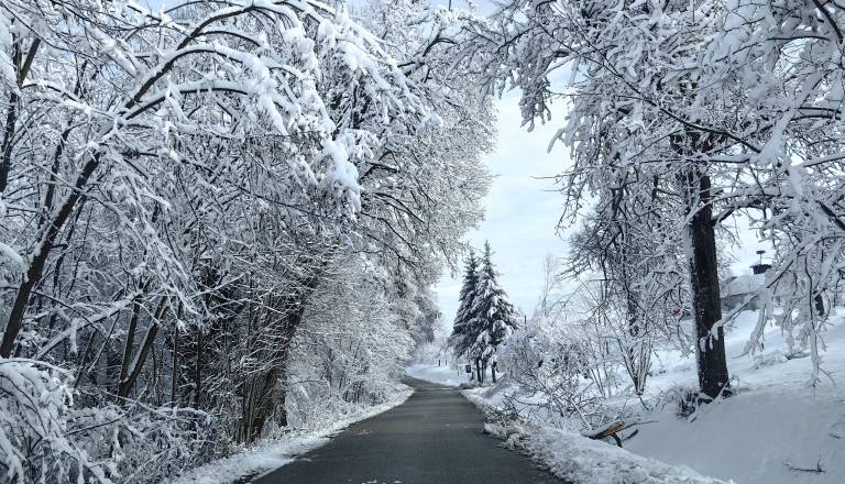 Pomurje bo prešla hladna fronta, v teh delih bo zapadlo največ snega