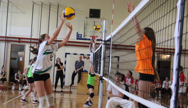 Odbojkarice OŠ Bršljin zmagovalke občinskega tekmovanja