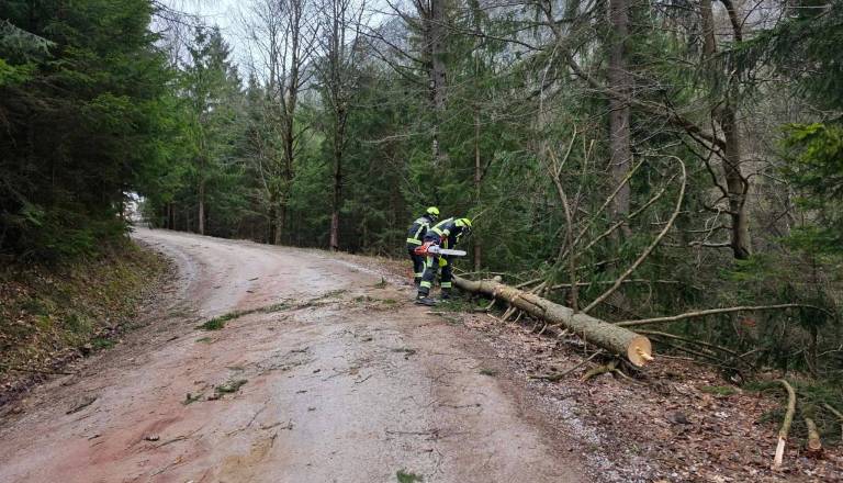 Več kot 300 intervencij po državi, najmočnejši izmerjen sunek vetra več kot 150 kilometrov na uro