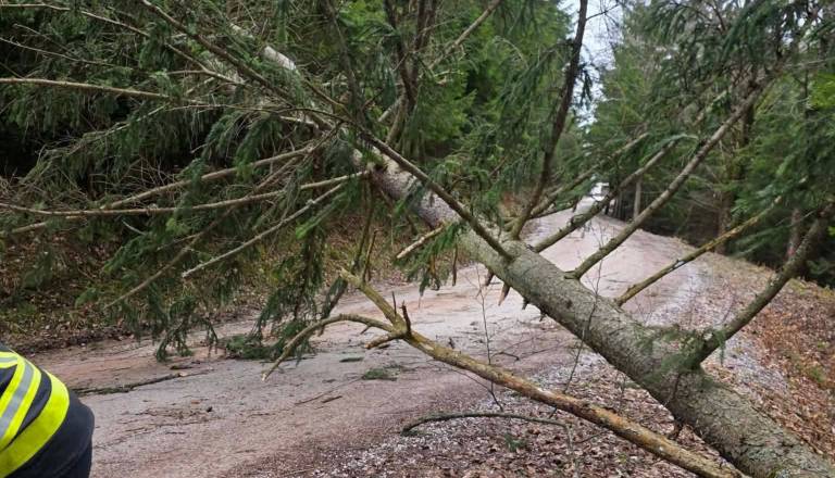 Po državi zabeležili 300 intervencij, najmočnejši izmerjen sunek vetra več kot 150 kilometrov na uro