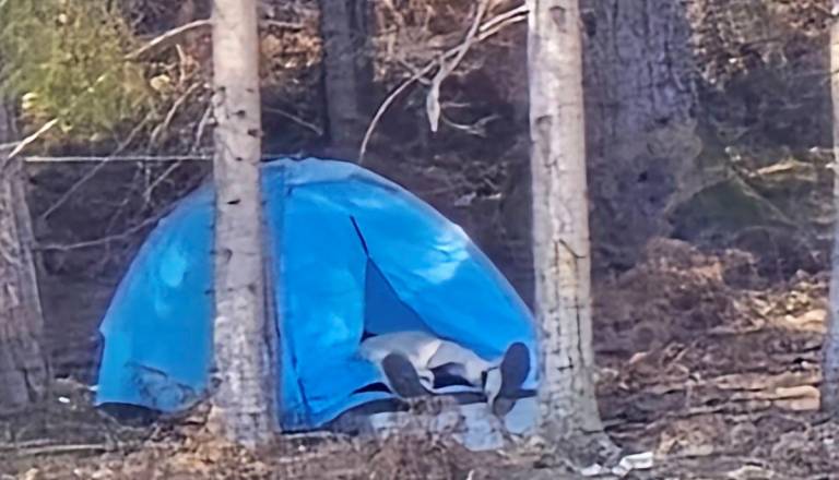 'Kamp cona' v industrijski coni Trzin sprožila burno razpravo: Posmeh, skrb in žaljivi komentarji