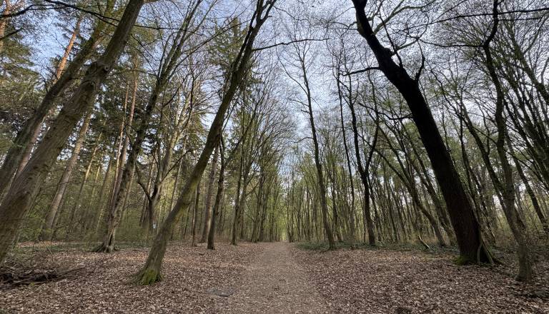 Meteorologi izdali rdeče opozorilo: Tudi na Štajerskem sunki vetra do okoli 140 kilometrov na uro