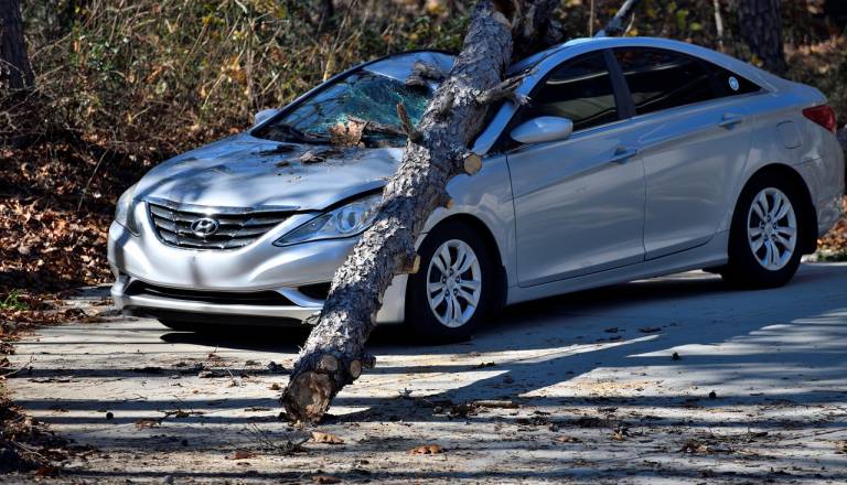 Tudi na Štajerskem sunki vetra do okoli 140 kilometrov na uro, izdano rdeče opozorilo