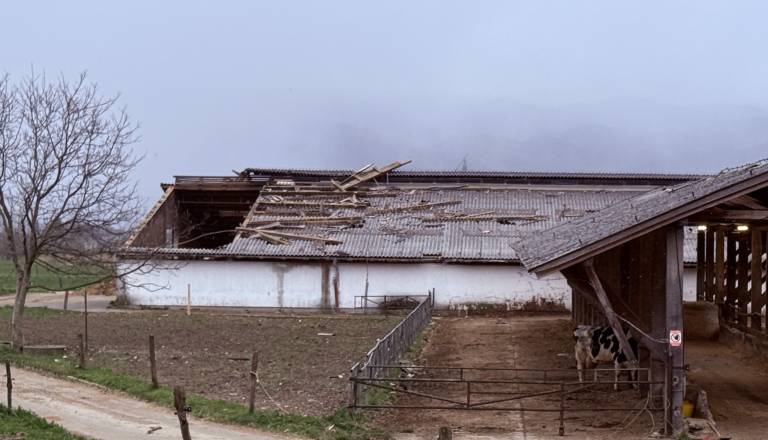 Na Gorenjskem poškodovanih skoraj 300 stanovanjskih objektov 