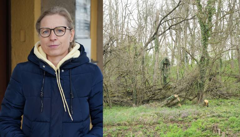 FOTO in VIDEO: V Gornji Radgoni so jo odnesli 'relativno poceni', pomagajo tudi sosednjim občinam