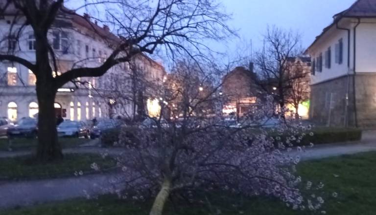 RDEČI ALARM: Nevarne razmere še vse do polnoči