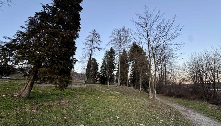 Razkrivamo, kako bo videti nova oaza ob Dravi