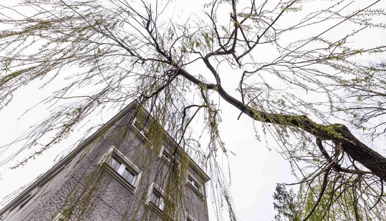 Napovedi so se uresničile: To je najmočnejši sunek vetra letos na vremenski postaji na Štajerskem