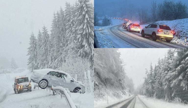 FOTO: Kaos na Dolenjskem, obravnavali že več kot 10 prometnih nesreč, na cestah podrta drevesa in strešniki
