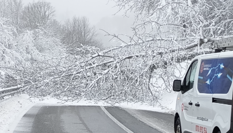 Srečko Šestan o trenutnih razmerah, marsikdo se bo zamislil
