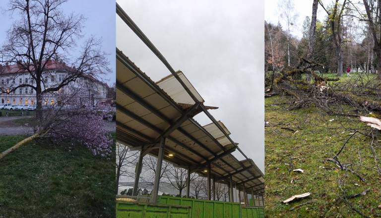 Gre za dogodek, ki se zgodi enkrat na deset let; Srečko Šestan je s tem sporočilom marsikoga streznil