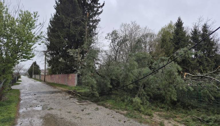 Veter bo še vztrajal, na letališču Maribor izmerili najmočnejši sunek vetra