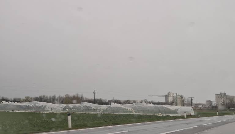 Pomurca po uničenju rastlinjaka prosita za pomoč