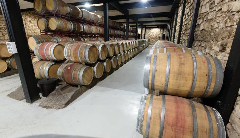 Vina je manj, bela sorta ostaja v ospredju