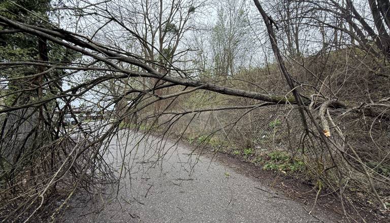 Po vetrolomu danes odprava posledic, najbolj poškodovana območja bo obiskal Golob
