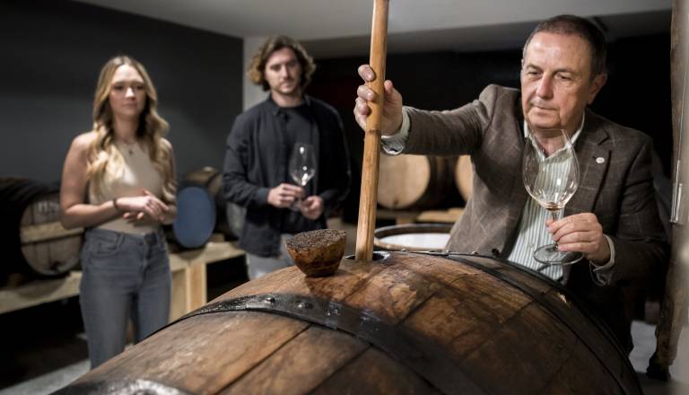 Slovenija pridelala manj vina, padla je tudi samooskrba