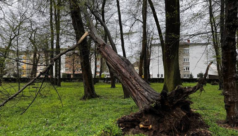 Veter bo še vztrajal, v Prekmurju izmerili najmočnejši sunek vetra