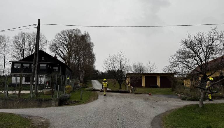 Nekaj odjemalcev še brez električne energije, Elektro Maribor opozarja na previdnost