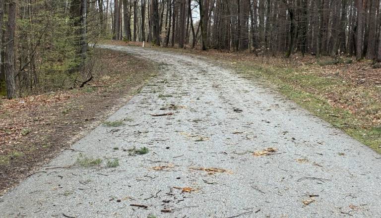 Veter podrl na stotine dreves in poškodoval številne hiše