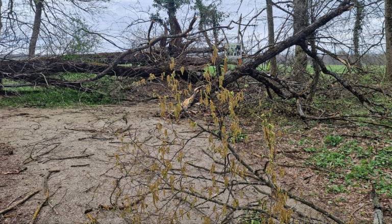 Močan veter povzročil obsežno škodo po Sloveniji