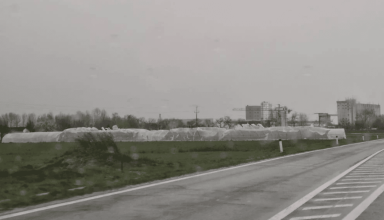 Neverjeten odziv: Po uničenem rastlinjaku zbrala več, kot sta prosila